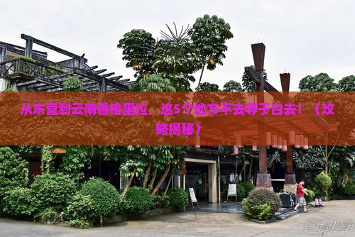 东营去云南香格里拉必去地
