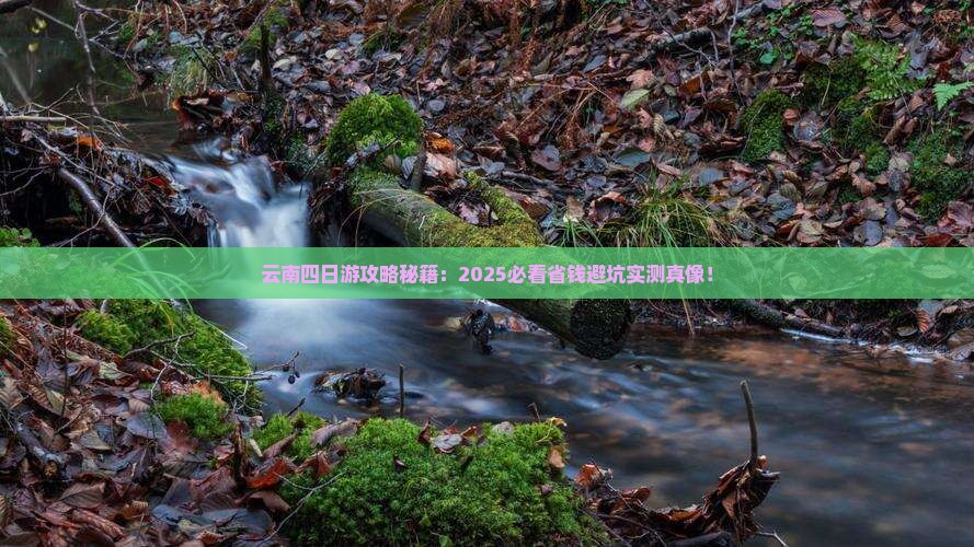来宾去云南四日游