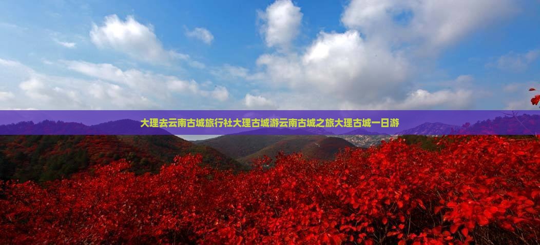 大理去云南古城旅行社