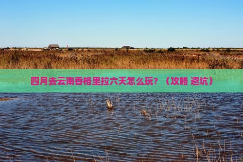 四月去云南香格里拉六日游