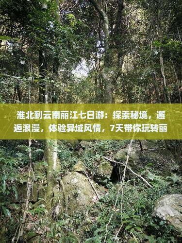 淮北到云南丽江七日游