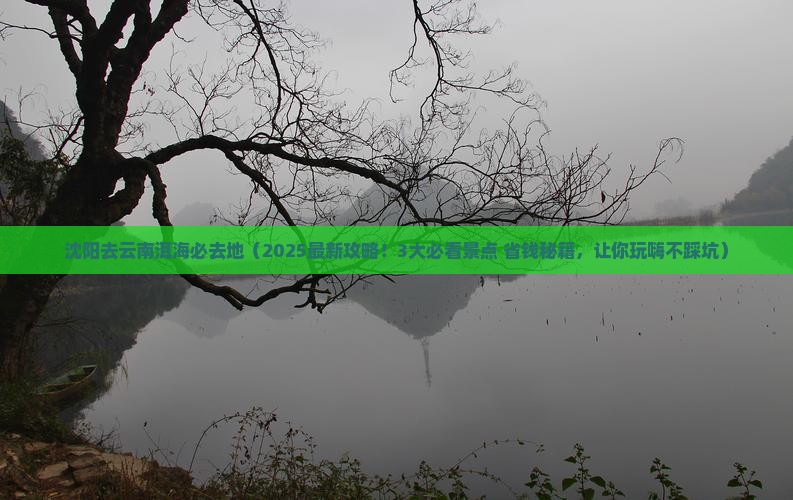沈阳去云南洱海必去地