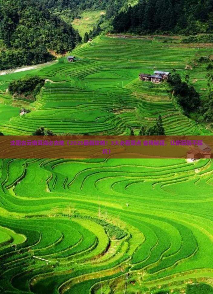 沈阳去云南洱海必去地