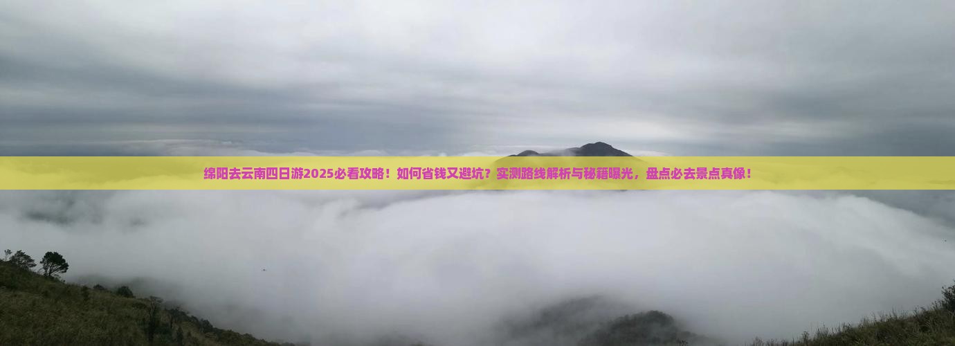 绵阳去云南四日游
