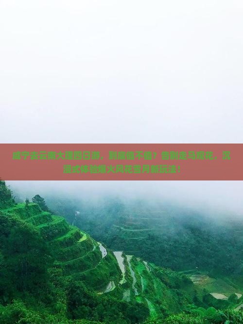 咸宁去云南大理四日游