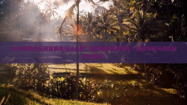 朝阳去云南昆明旅行社
