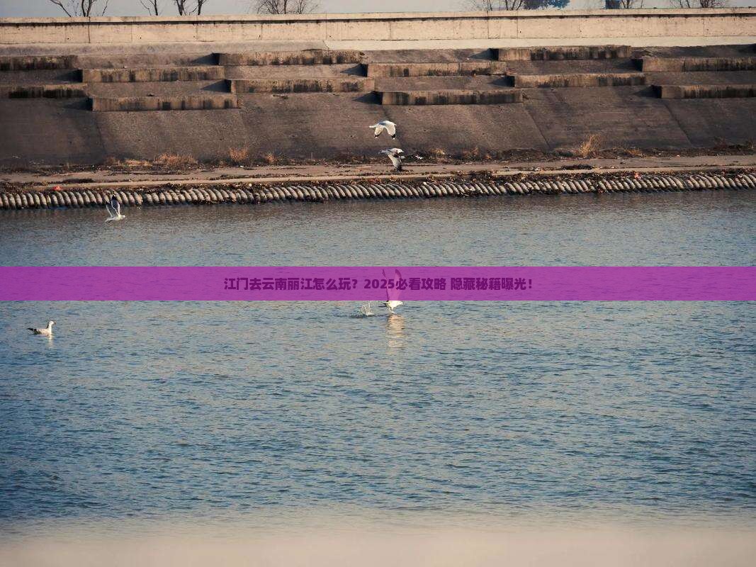 江门去云南丽江哪里玩