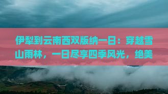 伊犁到云南西双版纳一日