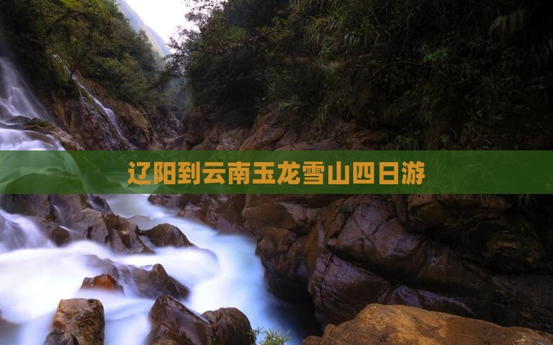 辽阳到云南玉龙雪山四日游