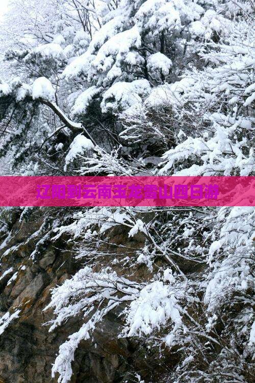 辽阳到云南玉龙雪山四日游