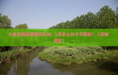 金昌到云南西双版纳攻略