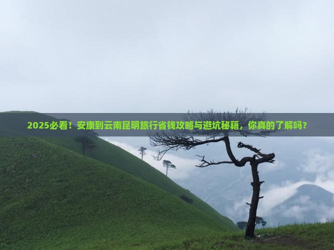 安康到云南昆明旅行社
