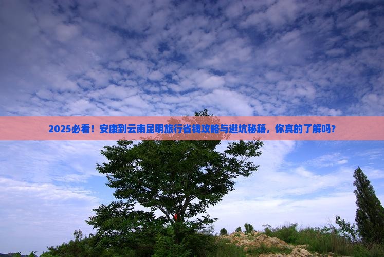 安康到云南昆明旅行社