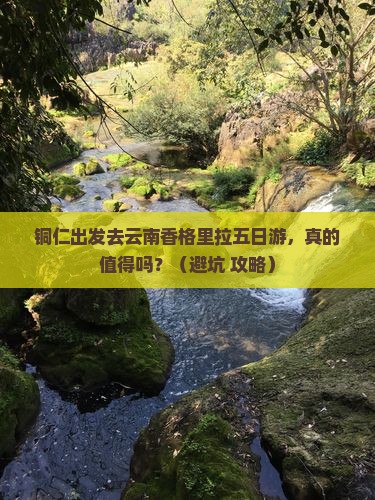 铜仁去云南香格里拉五日游