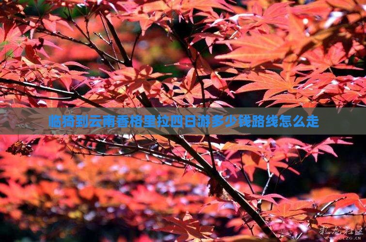 临猗到云南香格里拉四日游