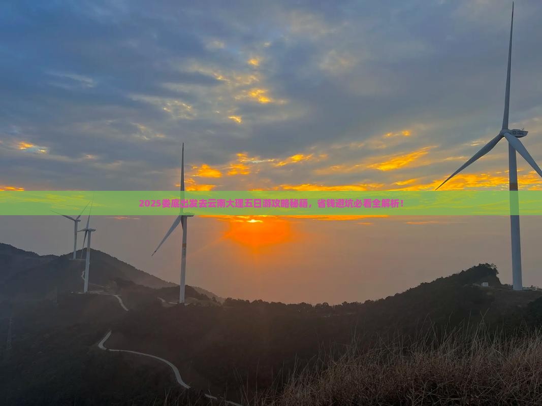 娄底去云南大理五日游