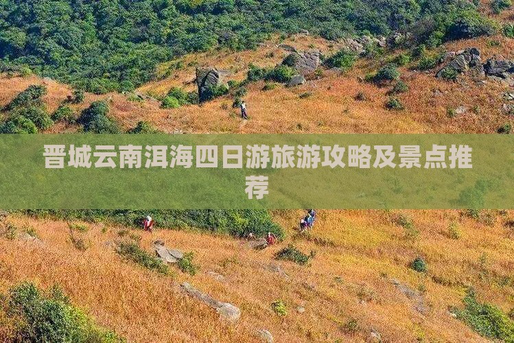 晋城去云南洱海四日游