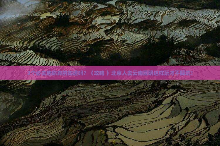 北京去云南昆明必去地