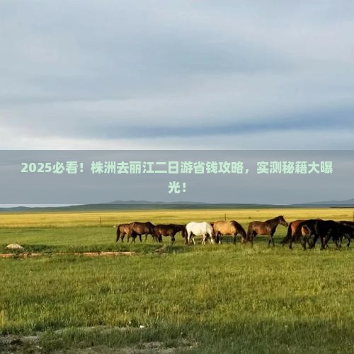 株洲去云南丽江二日游