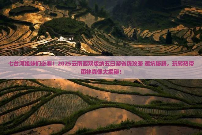 七台河去云南西双版纳五日游