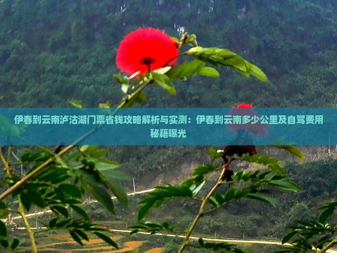 伊春到云南泸沽湖门票