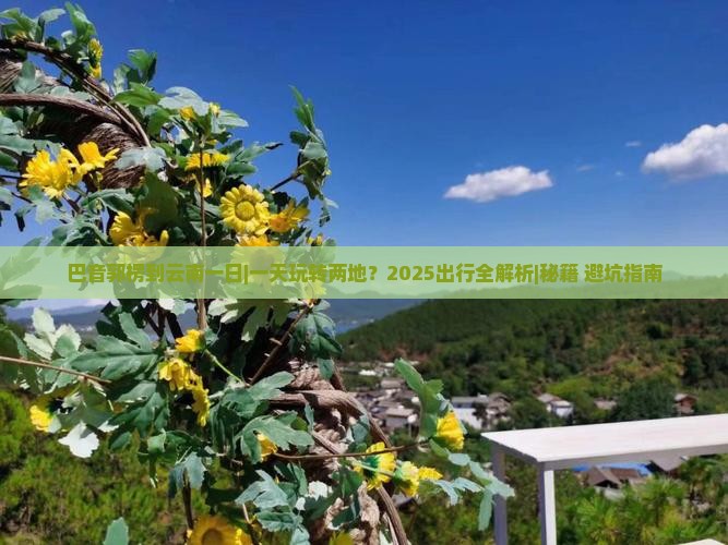 巴音郭楞到云南一日