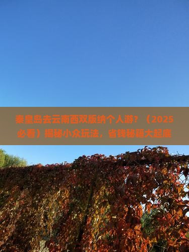 秦皇岛去云南西双版纳个人游