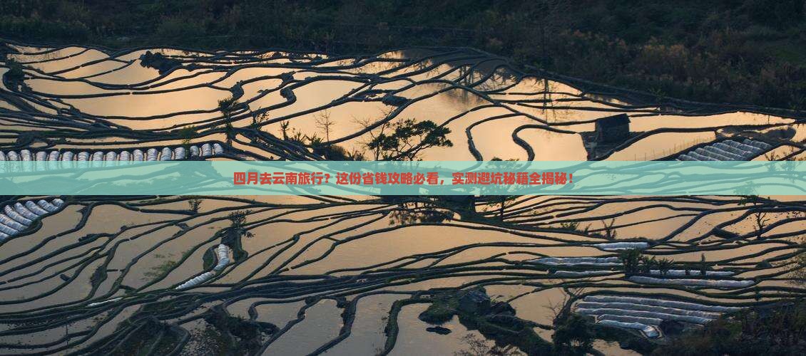四月到云南旅行社