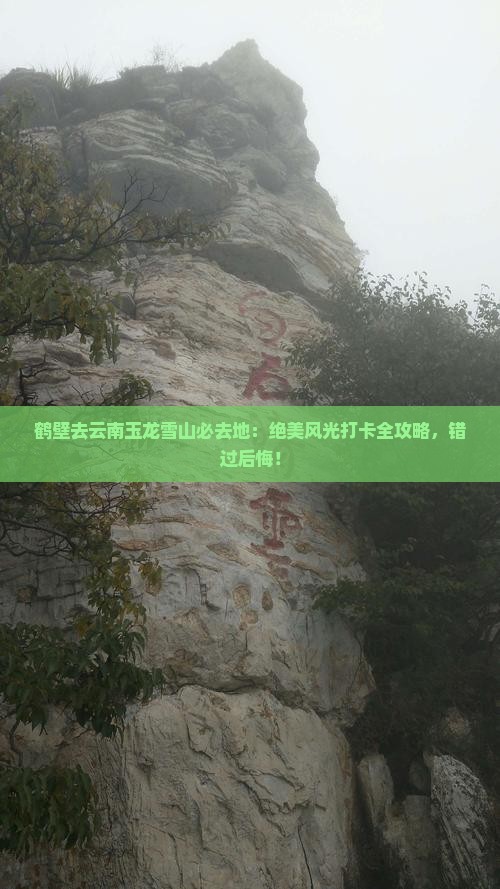 鹤壁去云南玉龙雪山必去地