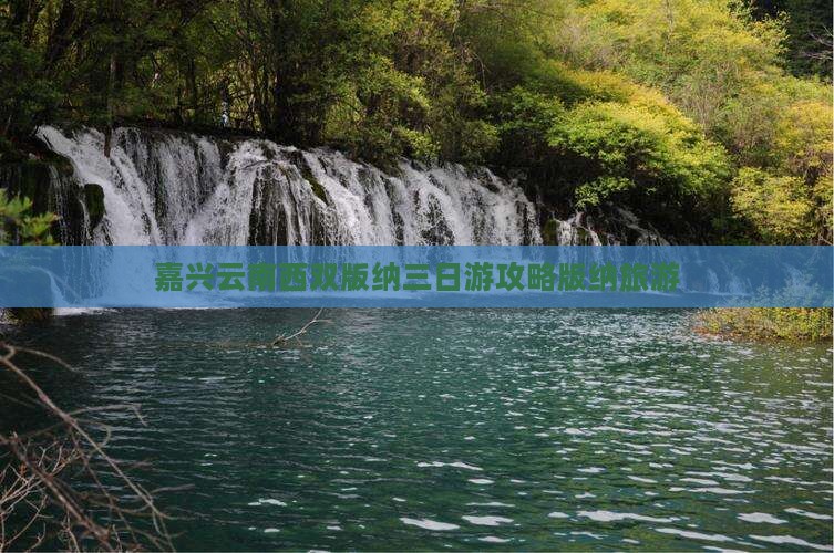 嘉兴去云南西双版纳三日游
