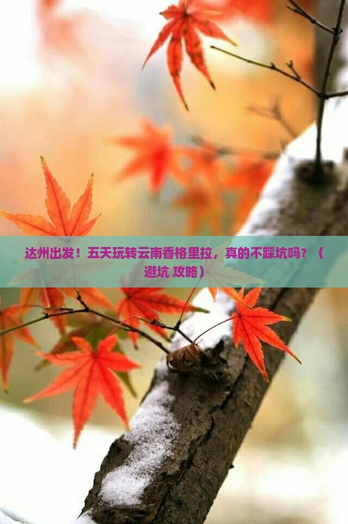 达州到云南香格里拉五日游