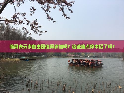 临夏去云南自由团