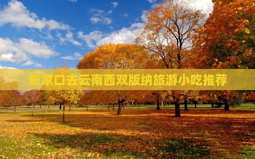 张家口去云南西双版纳旅游小吃