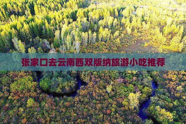 张家口去云南西双版纳旅游小吃