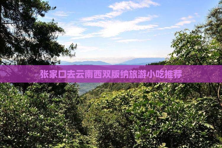 张家口去云南西双版纳旅游小吃