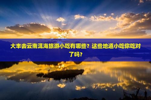 大丰去云南洱海旅游小吃
