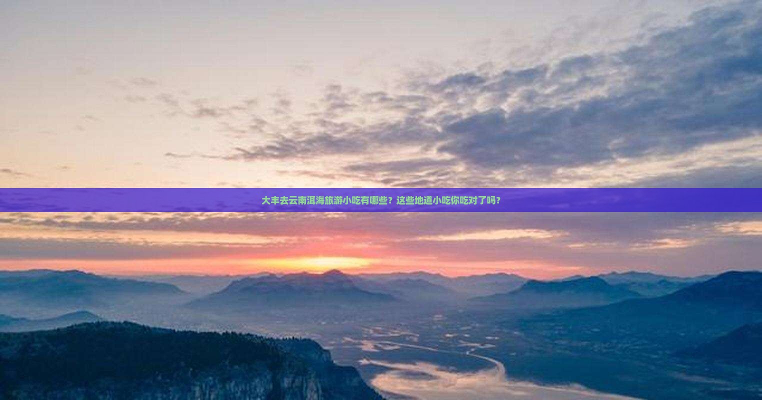 大丰去云南洱海旅游小吃