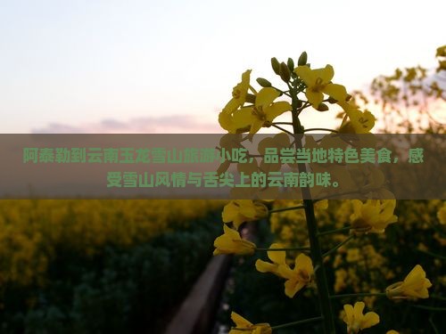 阿泰勒到云南玉龙雪山旅游小吃