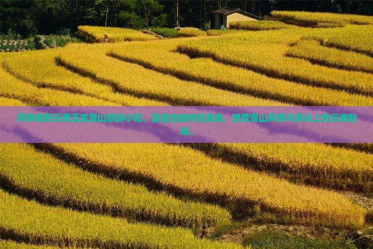阿泰勒到云南玉龙雪山旅游小吃