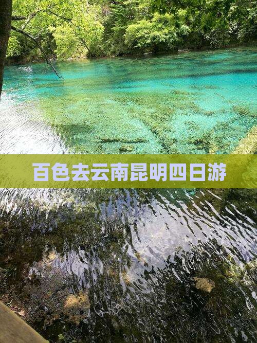 百色去云南昆明四日游