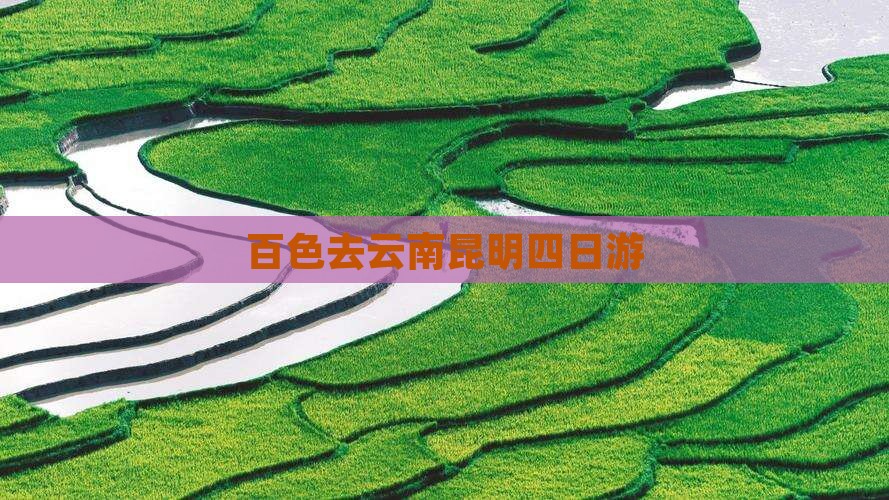 百色去云南昆明四日游