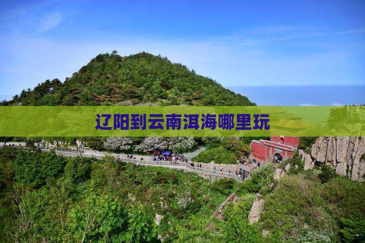 辽阳到云南洱海哪里玩