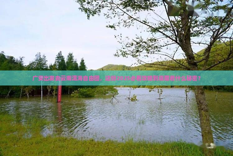 广安去云南洱海自由团