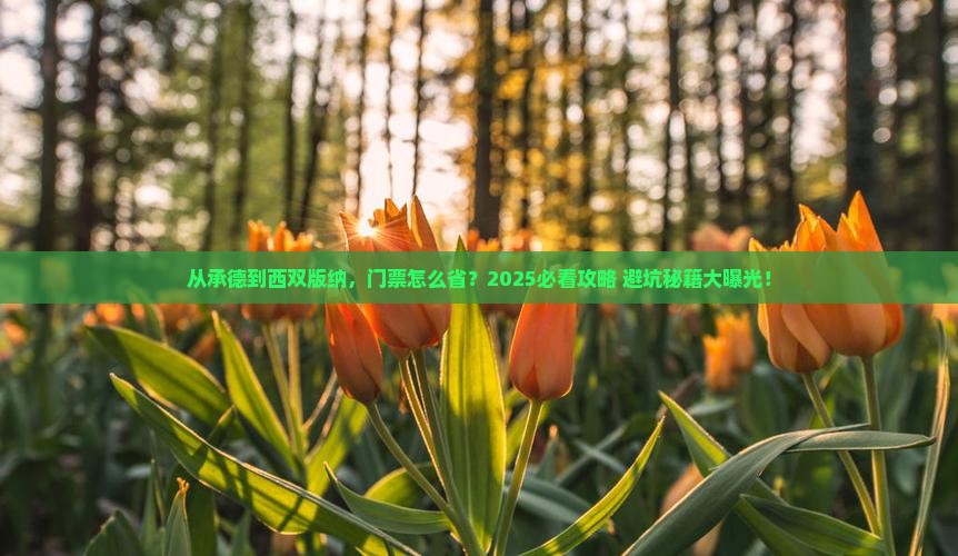 承德去云南西双版纳门票