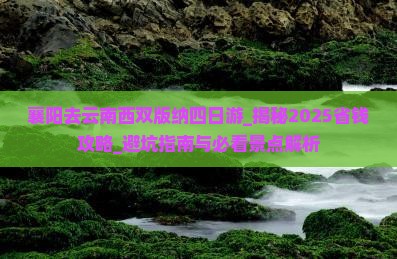 襄阳去云南西双版纳四日游