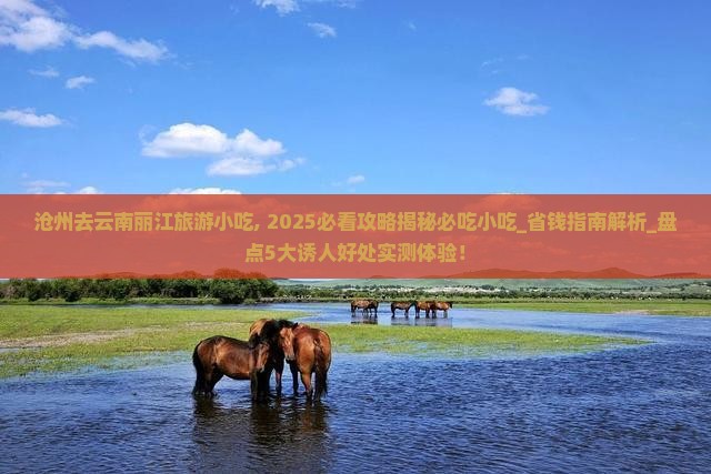 沧州去云南丽江旅游小吃 沧州去云南丽江旅游小吃