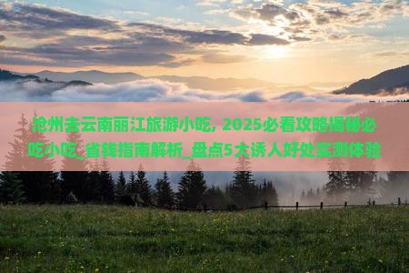 沧州去云南丽江旅游小吃 沧州去云南丽江旅游小吃