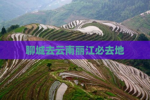 聊城去云南丽江必去地