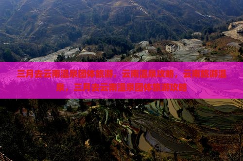 三月去云南温泉团体旅游