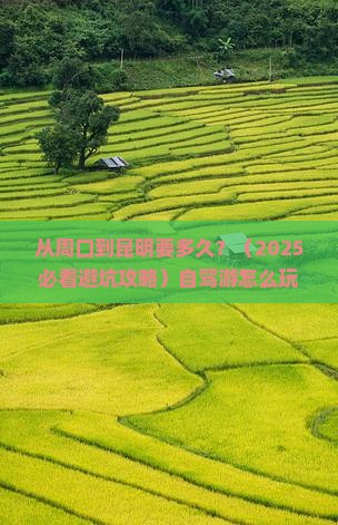 周口到云南昆明旅游